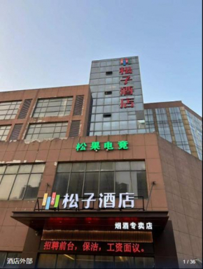 Pine Nut Hotel